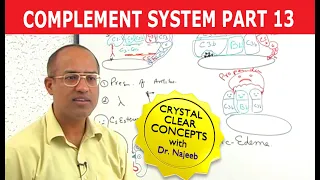 Complement System - Immunology - Part 13/18
