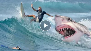 Страшное нападение акулы на серфера!