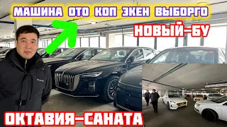 Выборго 10 штук Машина Октавия Саната Манжеро#89057575577#89919681880