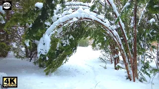 Icy Snowfall Ambience - Helsinki Finland - Walk in Tamminiemi and Meilahti Arboretum & Park