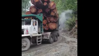 Logging Trucks - Machines in action