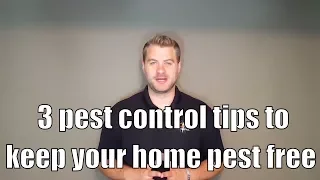 3 pest control tips to keep your home pest free