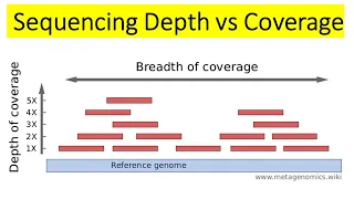 Sequencing Depth vs Coverage | Differences between Sequencing Depth and Coverage |