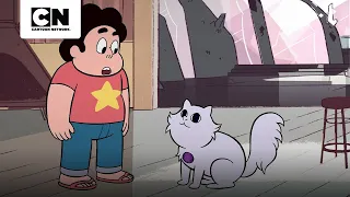 À PROCURA DA TRANSFORMAÇÃO | STEVEN UNIVERSO