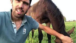 Я конечно не MORGENSHTERN,но жизнь у меня тоже интересная 🌿🌾