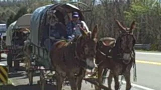 Mule Day Wagon Train