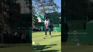 Brandt Snedeker Golf Swing