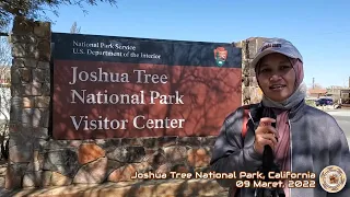 Diari 50: Joshua Tree National Park
