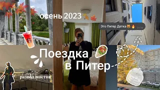 VLOG/: поездка в Санкт-Петербург, куда сходить, развод мостов, осень 2023🍂🍁