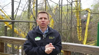 Busch Gardens talks about the return of the Loch Ness Monster roller coaster