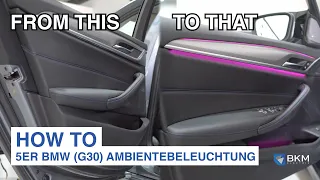 HOW TO I 5er BMW (G30) Ambientebeleuchtung nachrüsten (Türverkleidung)