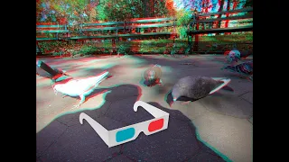 3D Anaglyph NY: 10.10.22 - Dual GoPro 7 (35mm stereo base)