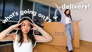 Extreme Apartment Makeover ep 11: Deliveries and Dilemmas 📦