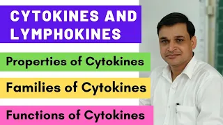 What are cytokines and lymphokines | Properties, functions and classes of Cytokines
