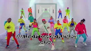 Baba levo feat Diamond platinumz_-_Shusha (official video)