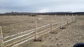 Загон на пастбище сделан