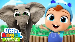 Baby John Visits The Zoo! (Zoo Song) | Fun Animal Sing Along Songs by Little Angel Animals