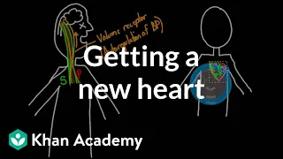 Getting a new heart | Circulatory system physiology | NCLEX-RN | Khan Academy