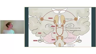 Dr. McKenna - Evaluation and Treatment of Dizziness