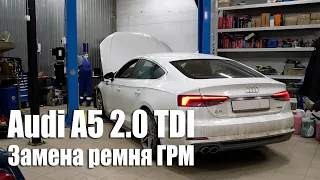 Audi A5 (F5) 2.0 TDI / Замена ремня ГРМ