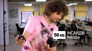 Як почати IT-бізнес: історія Petcube