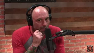 Joe Rogan Gets Emotional Talking About His Dogs