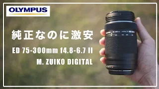 純正なのに超安い望遠レンズ！OLYMPUS M.ZUIKO DIGITAL ED 75-300mm f4.8-6.7 II をOM-1 で使ってみたーPROズームとの違いとはー