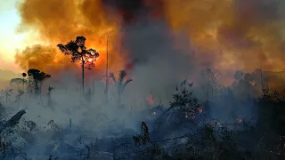 Amazonas – ist das Paradies verloren? | AFP