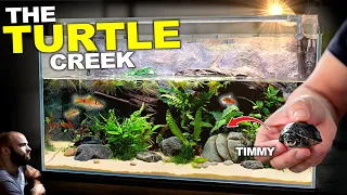 The Turtle Creek: AMAZING New Home for Timmy The Musk Turtle (DIY Background)
