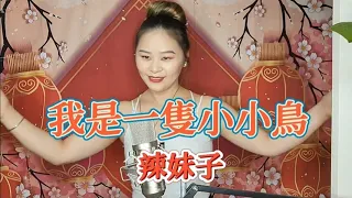 點唱好聽歌曲~(我是一隻小小鳥) 辣妹子~歌詞版