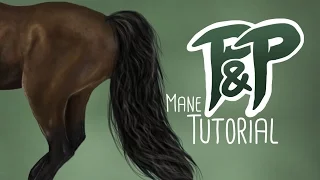 SSO - Mane Tutorial