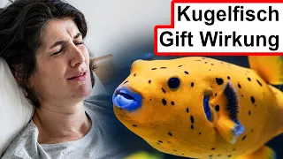 Wie fühlt sich eine Kugelfisch Vergiftung an?