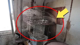 WARNING *DISTURBING* Wait Until You See What We Found In An Abandonded Compound...