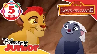Løvenes garde | Løvenes gardes musikkmedley! 🎶- Disney Junior Norge