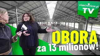 Obora za 13 mln. W niej materace i wanna dla krów