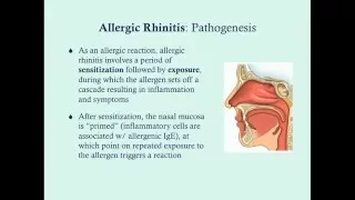 Allergic Rhinitis - CRASH! Medical Review Series