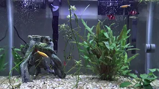 4K Aquarium 9+ hours - No Music