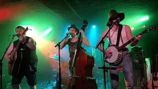 Steve 'N' Seagulls 2019.04.03 Hodi's Halfnote Fort Collin, CO