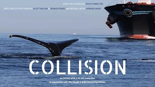 Collision | Trailer | Available Now