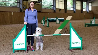 Meet YuMOVE Dog Agility Ambassador Ashleigh Butler...