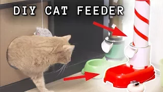 HOW TO BUILD A SMART ARDUINO CAT FEEDER