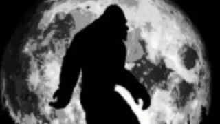 Bigfoot Top Topics with Sasquatch Ontario