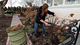 Pruning Panicle & Smooth Hydrangeas + Pink Mink Clematis! ✂️✂️✂️ // Garden Answer