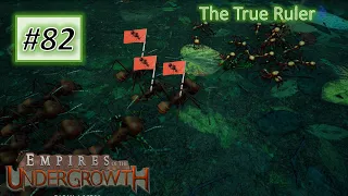 Empires of the Undergrowth #82: Retake The Rainforest With Leafcutter Ant
