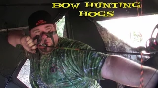 Bow Hunting Hogs - Oklahoma