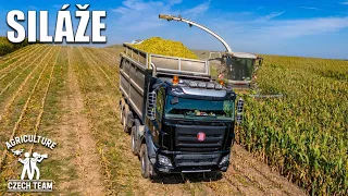 Siláže 2023 | Claas Jaguar 950 | John Deere & Tatra | Staňkov