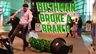 Bushman Prank Broke A Branch 🍀 Mall Of Scandinavian