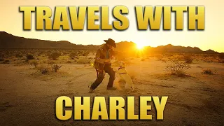 Travels With Charley - Tom Green And His Dog Charley - Van Life