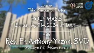 Holy Mass 11:00AM, 14 April 2024 | Third Sunday of Easter with Rev. Fr. Anthony Ynzon, SVD