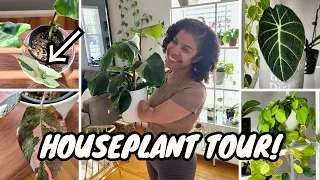CHILL Indoor Houseplant Tour 😎 | Spring 2024